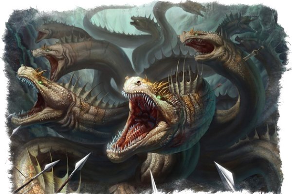 Kraken 12 at
