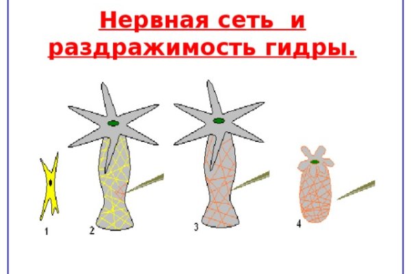 Кракен даркнет только через