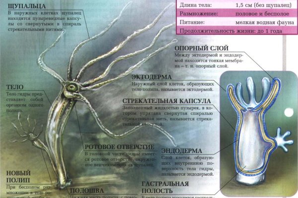 Не заходит на кракен
