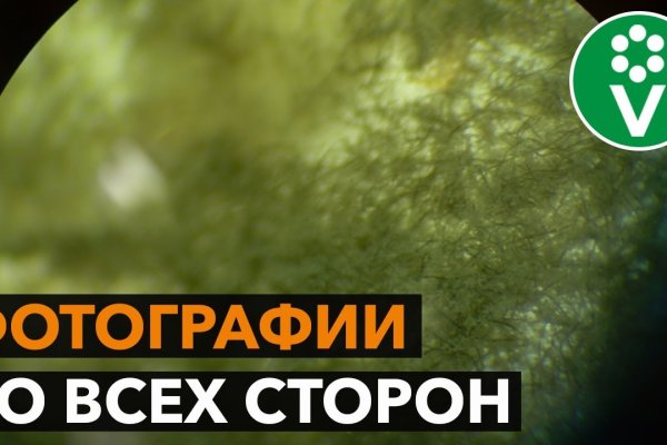 Кракен даркнет вход