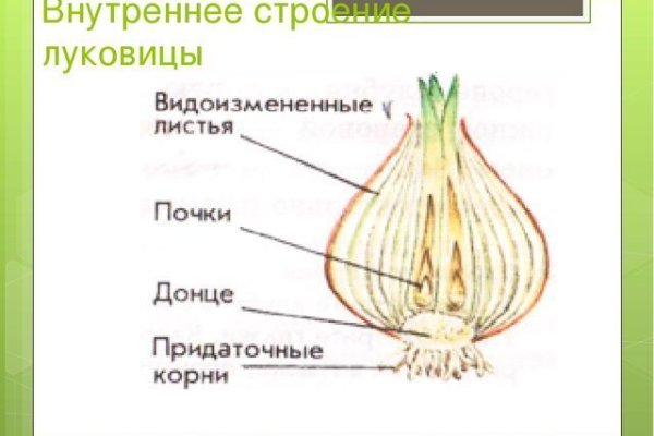 Onion сайт кракен