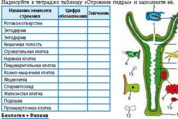 Ссылки зеркала на kraken