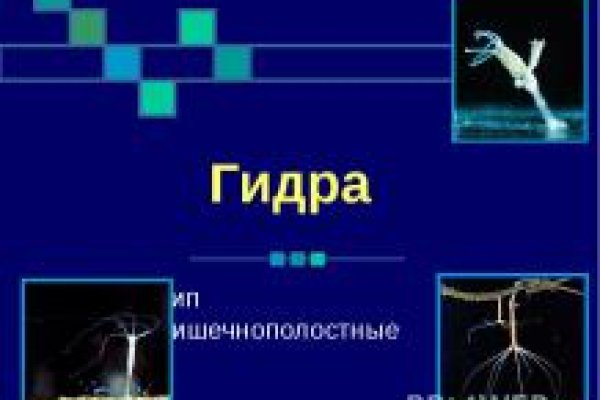 Можно ли восстановить аккаунт в кракен даркнет