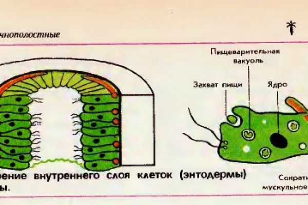 Kraken сайт зеркала
