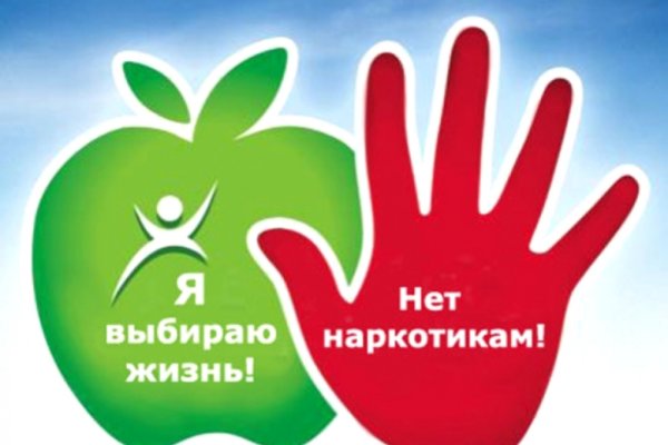 Кракен картель