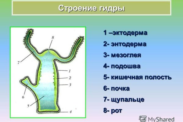 Не могу зайти на сайт кракен